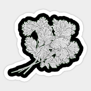 Plant Sticker